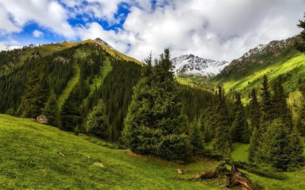 Алтын-Арашан, Путь На Оз,Ала-Куль Teploklyuchenka ภายนอก รูปภาพ