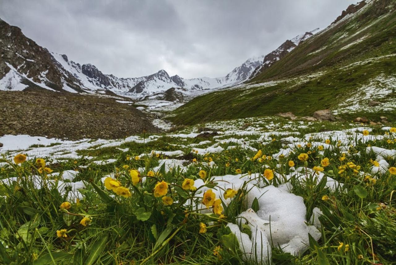 Алтын-Арашан, Путь На Оз,Ала-Куль Teploklyuchenka ภายนอก รูปภาพ