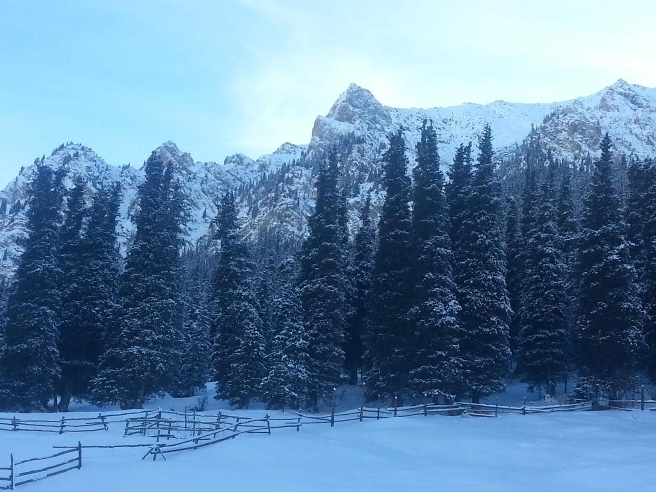 Алтын-Арашан, Путь На Оз,Ала-Куль Teploklyuchenka ภายนอก รูปภาพ